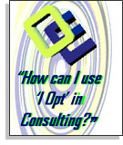 How can I use 'I-Opt' in consulting?