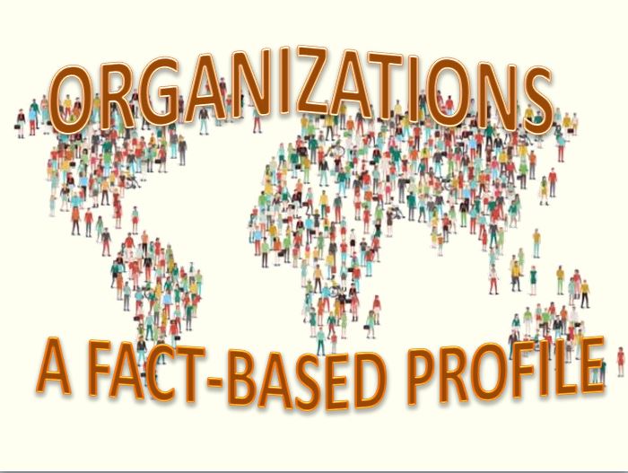 Organizations: A Fact-Based Profile ~ 22 MIN